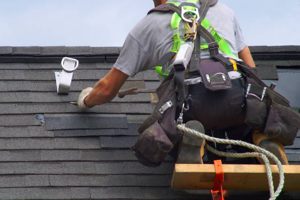 Best Storm Damage Roof Repair  in Bay Minette, AL