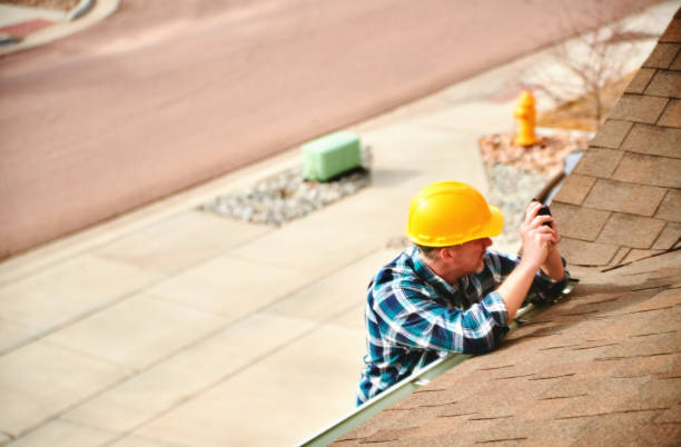 Best Storm Damage Roof Repair  in Bay Minette, AL