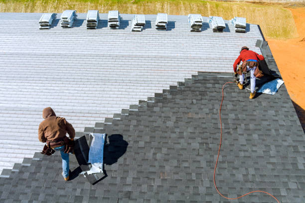 Best Metal Roofing Contractor  in Bay Minette, AL