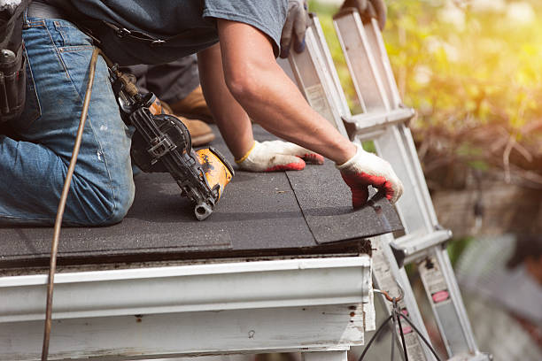 Gutter Installation and Roofing in Bay Minette, AL
